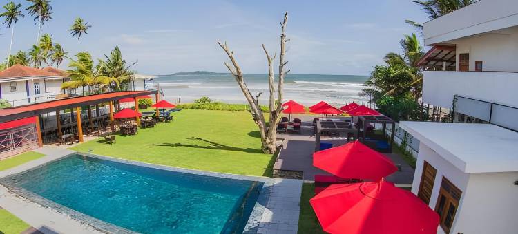 蔚十五沙湾(W15 Weligama)图片