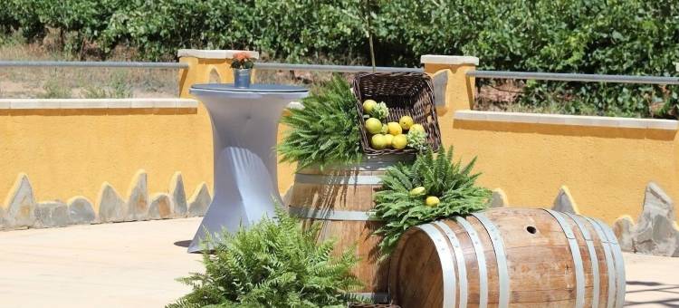 阿塔拉亚公寓(Atalaya)图片