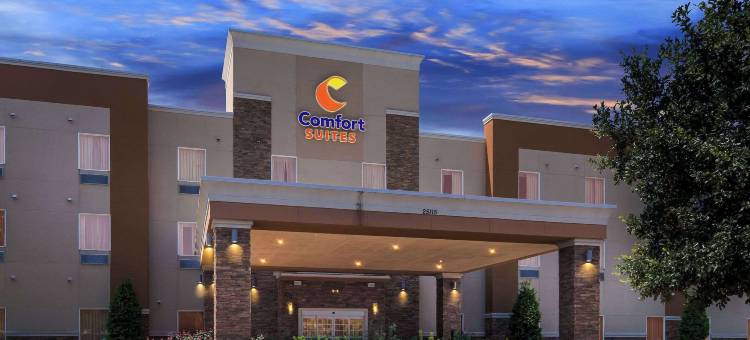 卡蒂舒适套房酒店(Comfort Suites at Katy Mills)图片