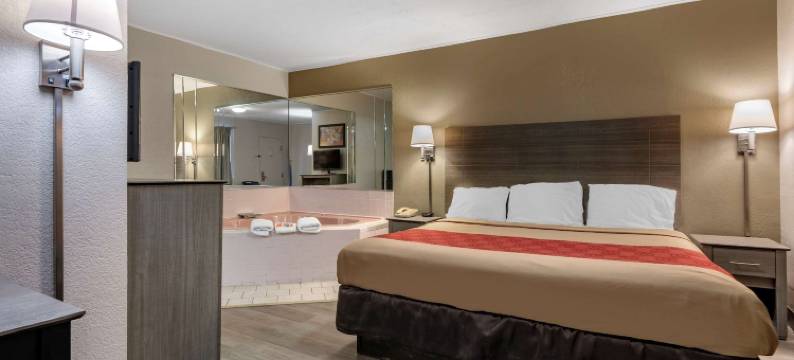 德威特 I-90 伊克诺旅馆(Econo Lodge Dewitt I-90)图片