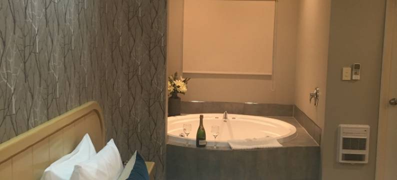 维洛奇汽车旅店(Village Motel)图片