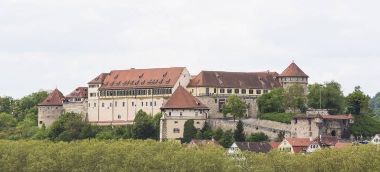 宜必思尚品图宾根酒店(Ibis Styles Tuebingen)图片