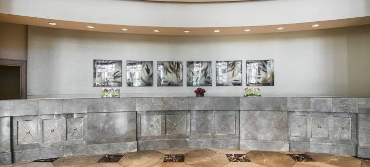 达拉斯北万丽酒店(Renaissance Dallas North Hotel)图片