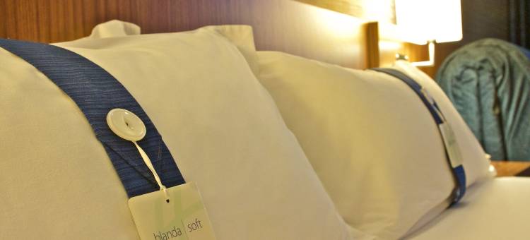 Holiday Inn Express 阿尔赫西拉斯(Holiday Inn Express Campo de Gibraltar - Barrios)图片