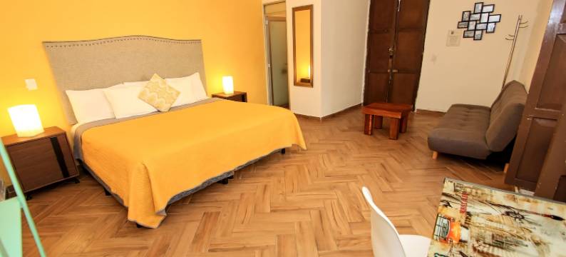 大学酒店(Hotel Universidad)图片