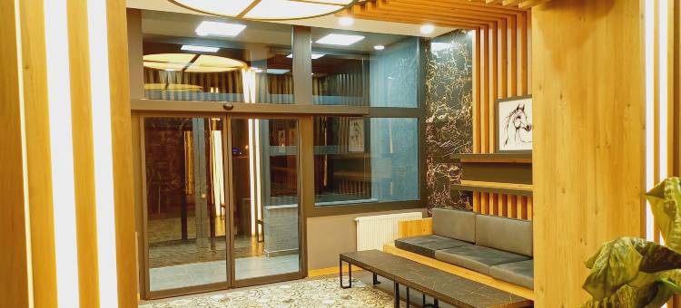 动力酒店(Dinamik Otel)图片