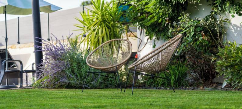 迷人的房间(La Chambre Enchantée)图片