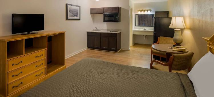 巴西郊区工作室(Suburban Studios Brazil)图片