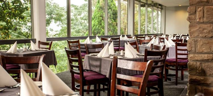 马塞卢阿瓦尼酒店(Avani Maseru Hotel)图片