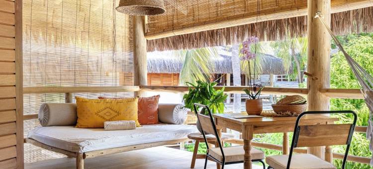 总是活着(Sempre Vivo)图片