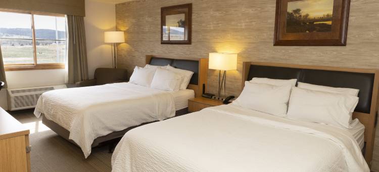Holiday Inn 斯皮尔菲什的会展中心(Holiday Inn SPEARFISH-CONVENTION CENTER by IHG)图片