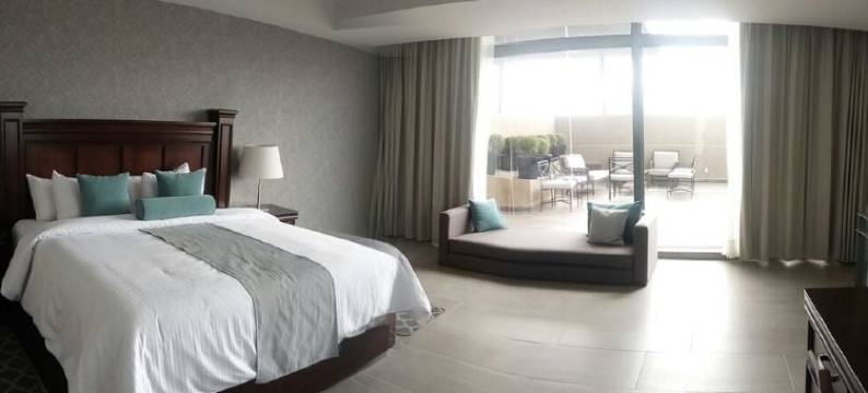 康科尔迪亚大酒店(Gran Hotel Concordia San Luis Potosi)图片