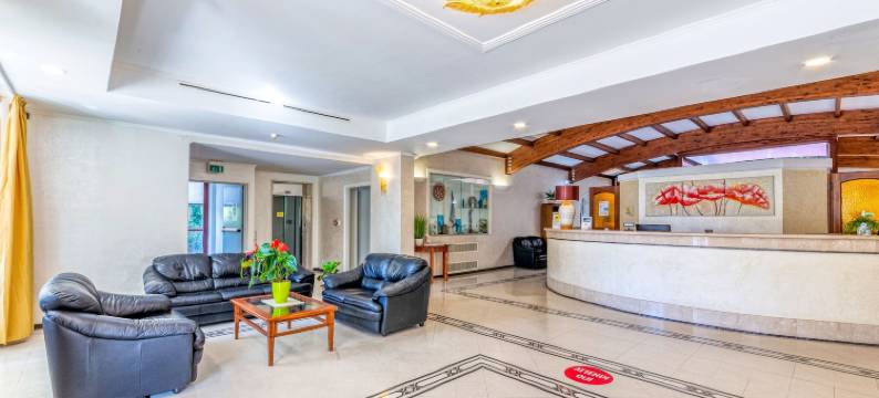 勒托瑞酒店(Hotel le Torri)图片