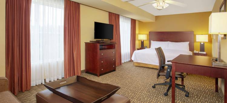 坦帕-布兰登Homewood Suites by Hilton(Homewood Suites by Hilton Tampa-Brandon)图片