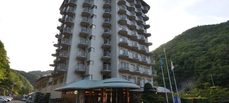 新桦川观光酒店(Shin Kabakawa Kanko Hotel)图片