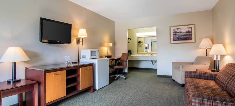 伊克诺套房旅馆-会议中心(Econo Lodge Inn & Suites Conference Center Dublin)图片