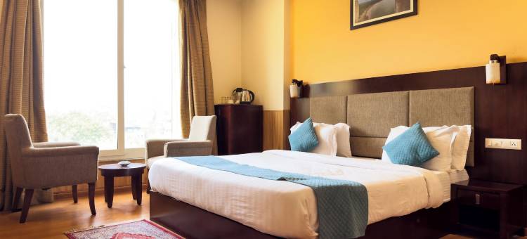 乌代布尔皇家棕榈经济型酒店(Hotel Royal Palm - A Budget Hotel in Udaipur)图片