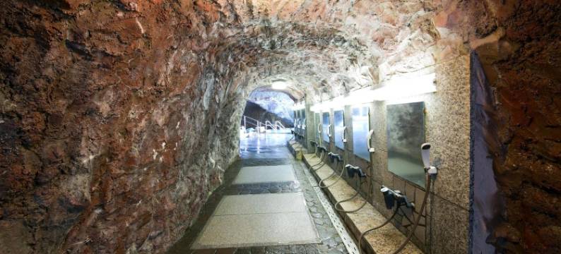 浦岛酒店(Hotel Urashima)图片