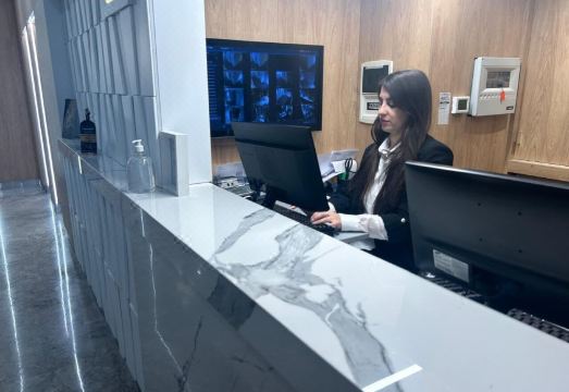 Bulnes Eco Suites Hotel Overview