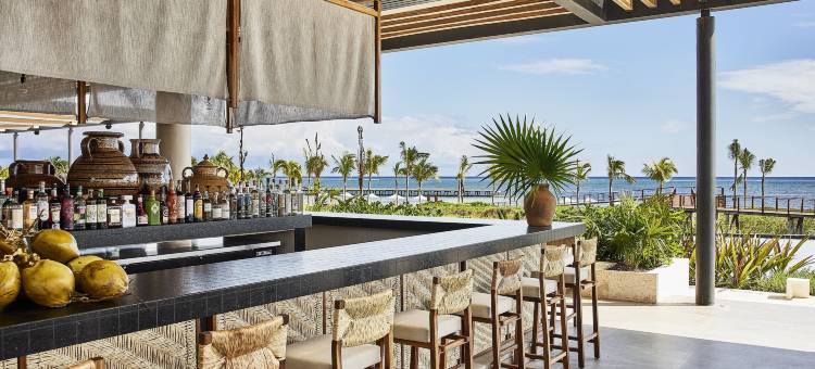 埃特雷奥酒店-阿尔伯格度假村精选(Etéreo, Auberge Resorts Collection)图片