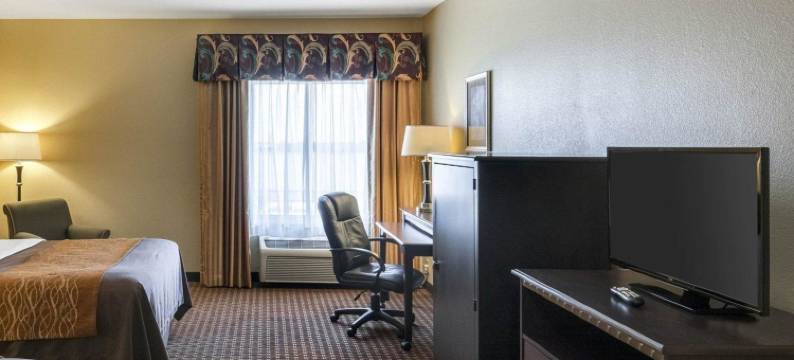 区域医疗中心舒适套房酒店(Comfort Inn & Suites Regional Medical Center)图片