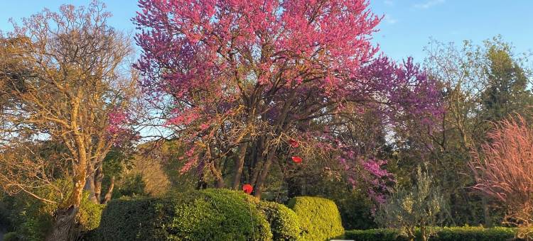 帕拉亚城堡酒店(Logis Hôtel Château de Palaja)图片