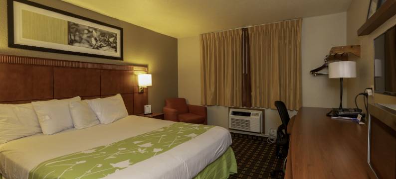 弗洛伦斯罗德威汽车旅馆(Rodeway Inn Florence - Cincinnati South)图片