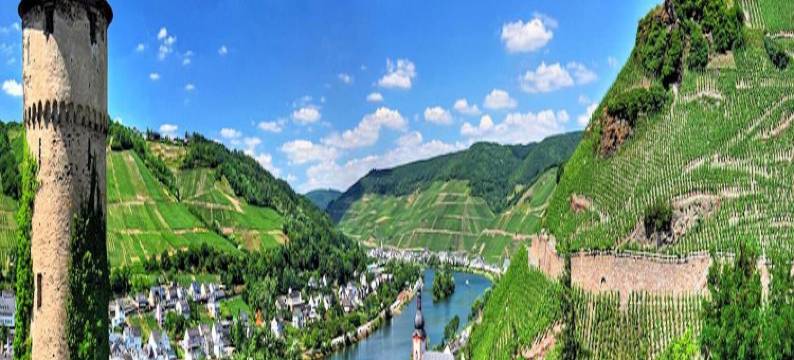 维恩凯菲科克恩兹赫公寓(Weincafé Korkenzieher)图片