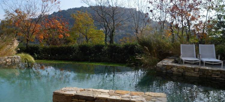 伊登岩石度假酒店(Eden Rock Resort)图片