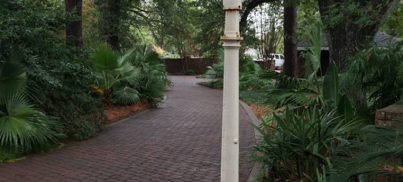 好景观庄园民宿(Far View - A Bed & Breakfast Estate)图片