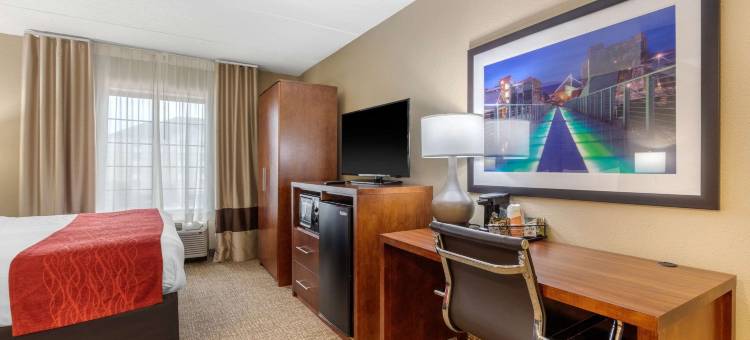 汉密尔顿广场舒适套房酒店(Comfort Inn & Suites Hamilton Place)图片