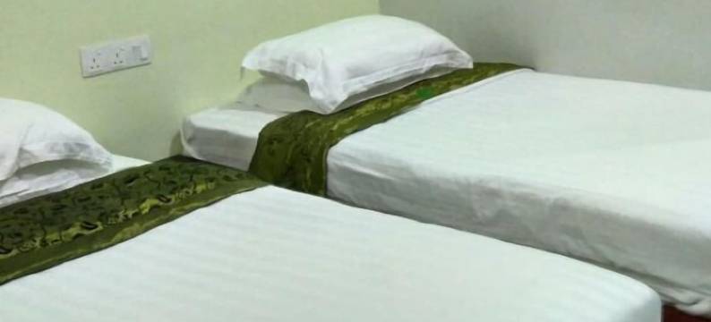 绿色饭店(Green Hotel)图片