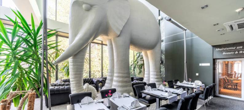 雷西威尔大象酒店(Rixwell Elefant Hotel)图片