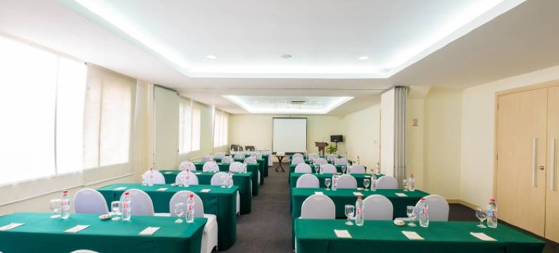 巨港半岛酒店(Sintesa Peninsula Hotel Palembang)图片