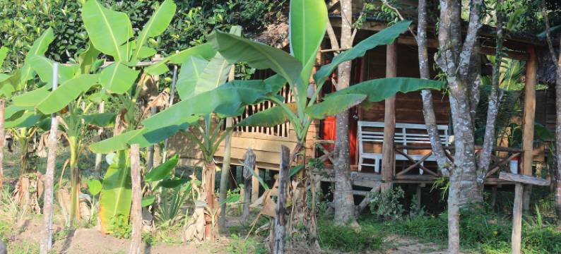 富国岛胡椒农场酒店(Pepper Farm Phu Quoc Bungalow)图片
