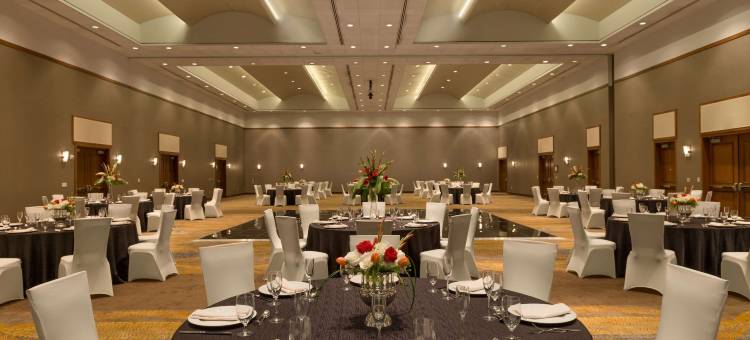 希尔顿酒店-BWI机场(Hilton Baltimore BWI Airport)图片