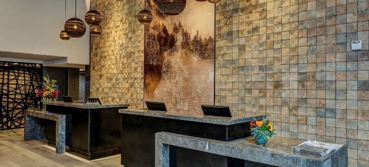 埃弗里特万豪西雅图德尔塔酒店(Delta Hotels Seattle Everett)图片