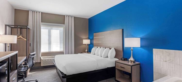 舒适酒店及套房哈里斯堡-赫尔希北(Comfort Inn & Suites Harrisburg-Hershey North)图片