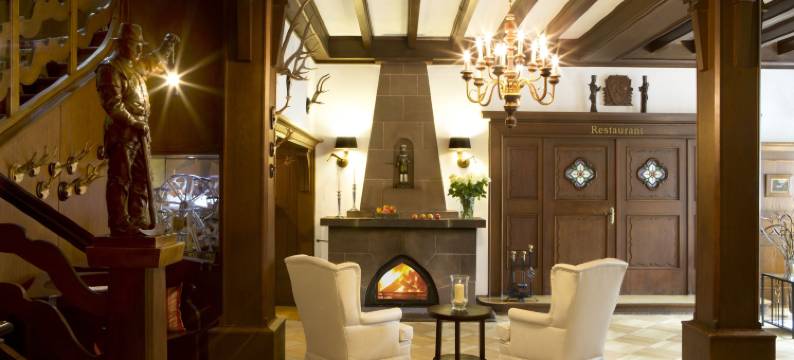 达斯贾格德豪斯瓦尔迪伊尔酒店民宿(Das Jagdhaus Waldidyll Erzgebirge)图片