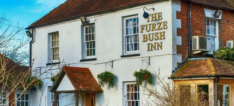 弗尔瑟灌木旅馆(The Furze Bush Inn)图片