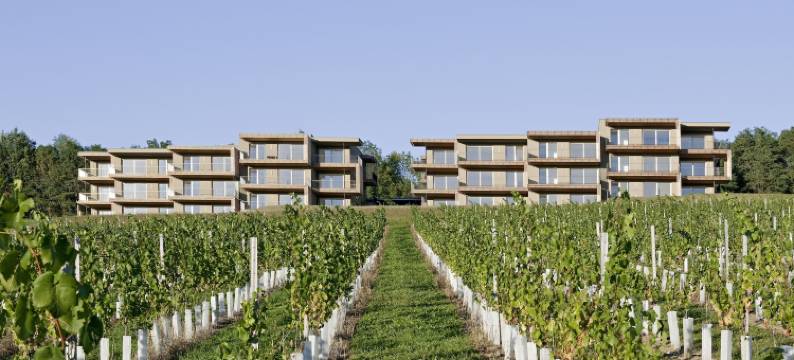 苏德斯特马克路易斯葡萄酒水疗度假酒店(Loisium Wine & Spa Resort Sudsteiermark)图片