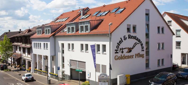 金色弗拉格餐厅酒店(Hotel & Restaurant Goldener Pflug)图片