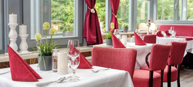 图林根阿克蒂斯维太酒店(Akzent Aktiv & Vital Hotel Thüringen)图片