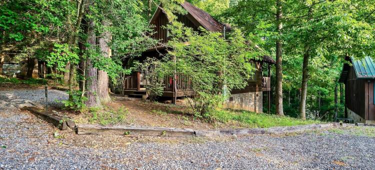 Distilled Memories清醒的回忆(Distilled Memories)图片