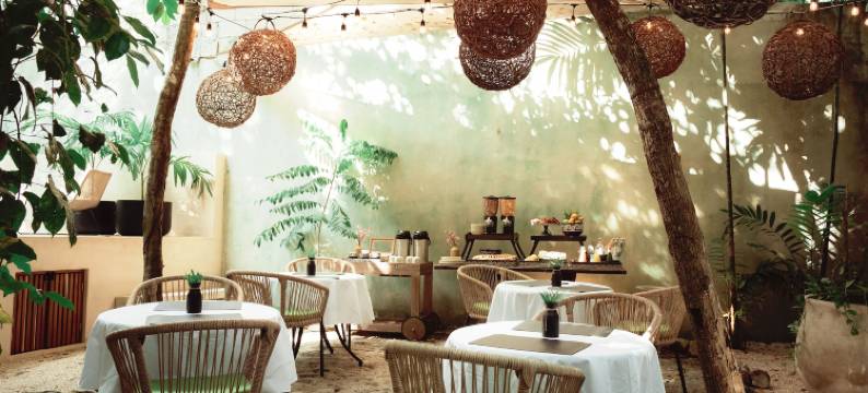 特拉苏里维埃拉玛雅酒店&水疗中心，位于斯卡雷特(Terasu Riviera Maya Hotel & Spa, en Xcaret)图片