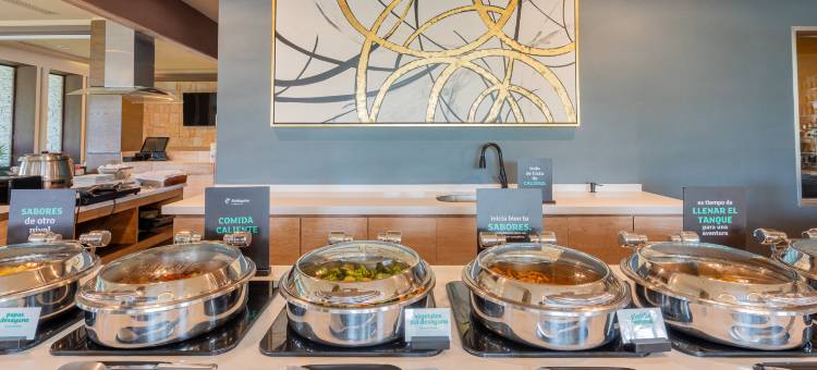 阿卡普尔科拉岛假日酒店(Holiday Inn Acapulco la Isla, an IHG Hotel)图片