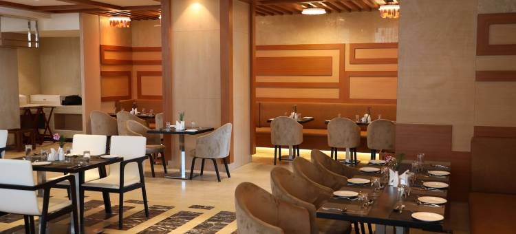 钦奈瑞加纳塔中央RS奥马尔酒店(Regenta Central RS Chennai OMR Sipcot)图片