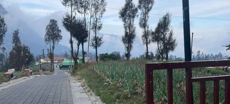 布罗莫塞梅斯塔旅馆(Bromo Semesta Guesthouse)图片