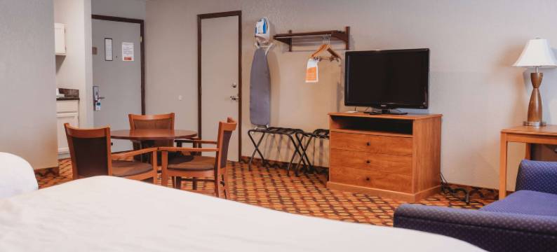 阿普尔顿市中心AmericInn酒店(Americinn by Wyndham Appleton Downtown)图片