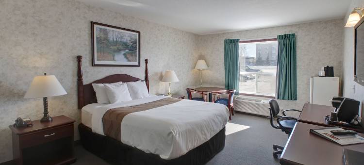 尼斯库艾德蒙顿机场温德姆华美达酒店(Ramada by Wyndham Nisku Edmonton Airport)图片